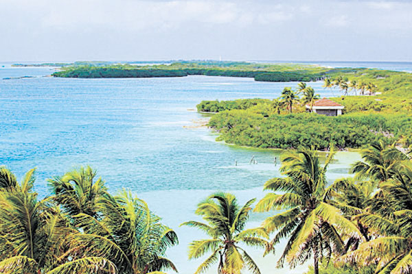 Contoy (México) es un santuario natural, con playas vírgenes  y una isla que aún no ha sido presa de las grandes cadenas hoteleras. 