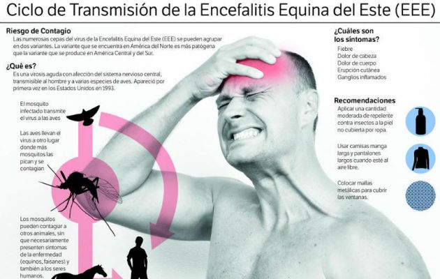 Ministerio de Salud declara alerta sanitaria por brote de Encefalitis Equina en Darién. Foto: Panamá América. Ministerio de Salud declara alerta sanitaria por brote de Encefalitis Equina en Darién. Foto: Panamá América.