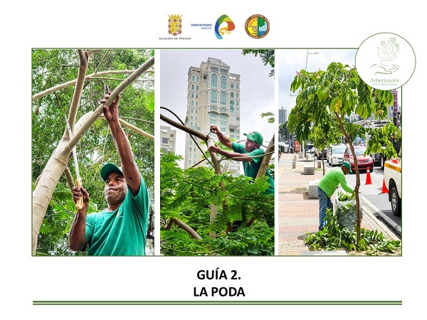 Las guías de arbolado urbano tienen elementos técnicos para el manejo en áreas de servidumbre. Las guías de arbolado urbano tienen elementos técnicos para el manejo en áreas de servidumbre.