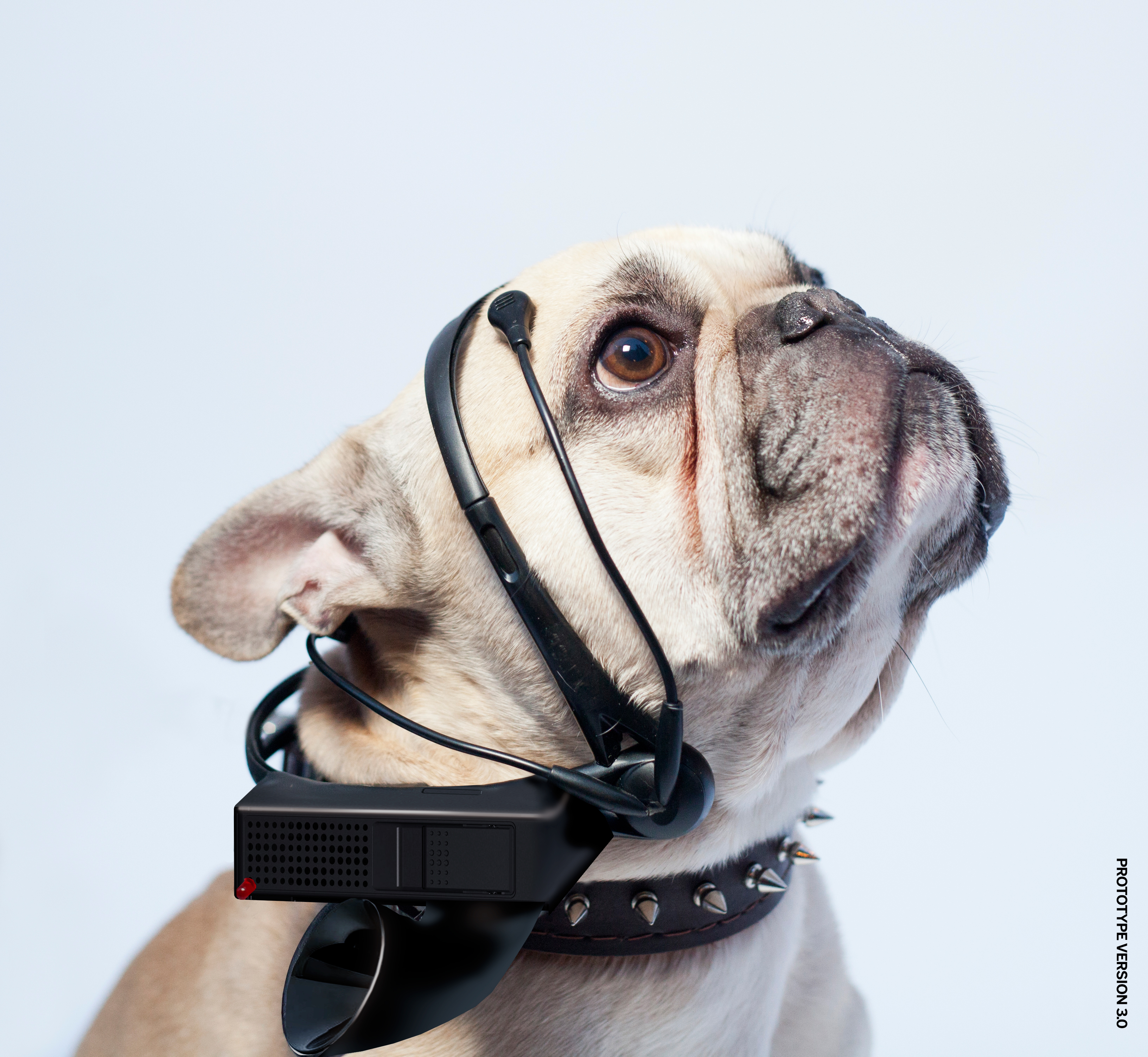 No More Woof aparato para leer los pensamientos de los perros<br>