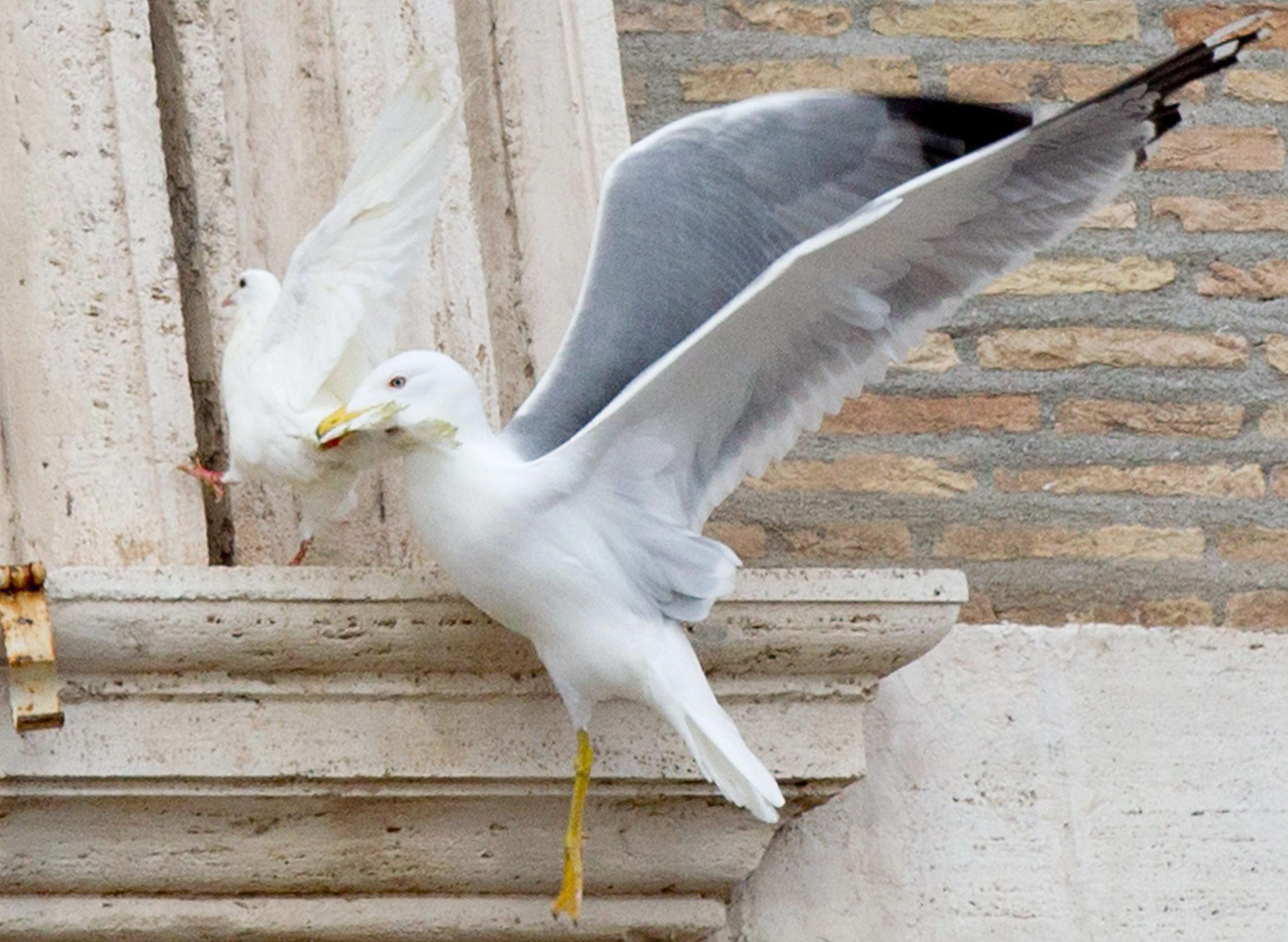 Foto/AP