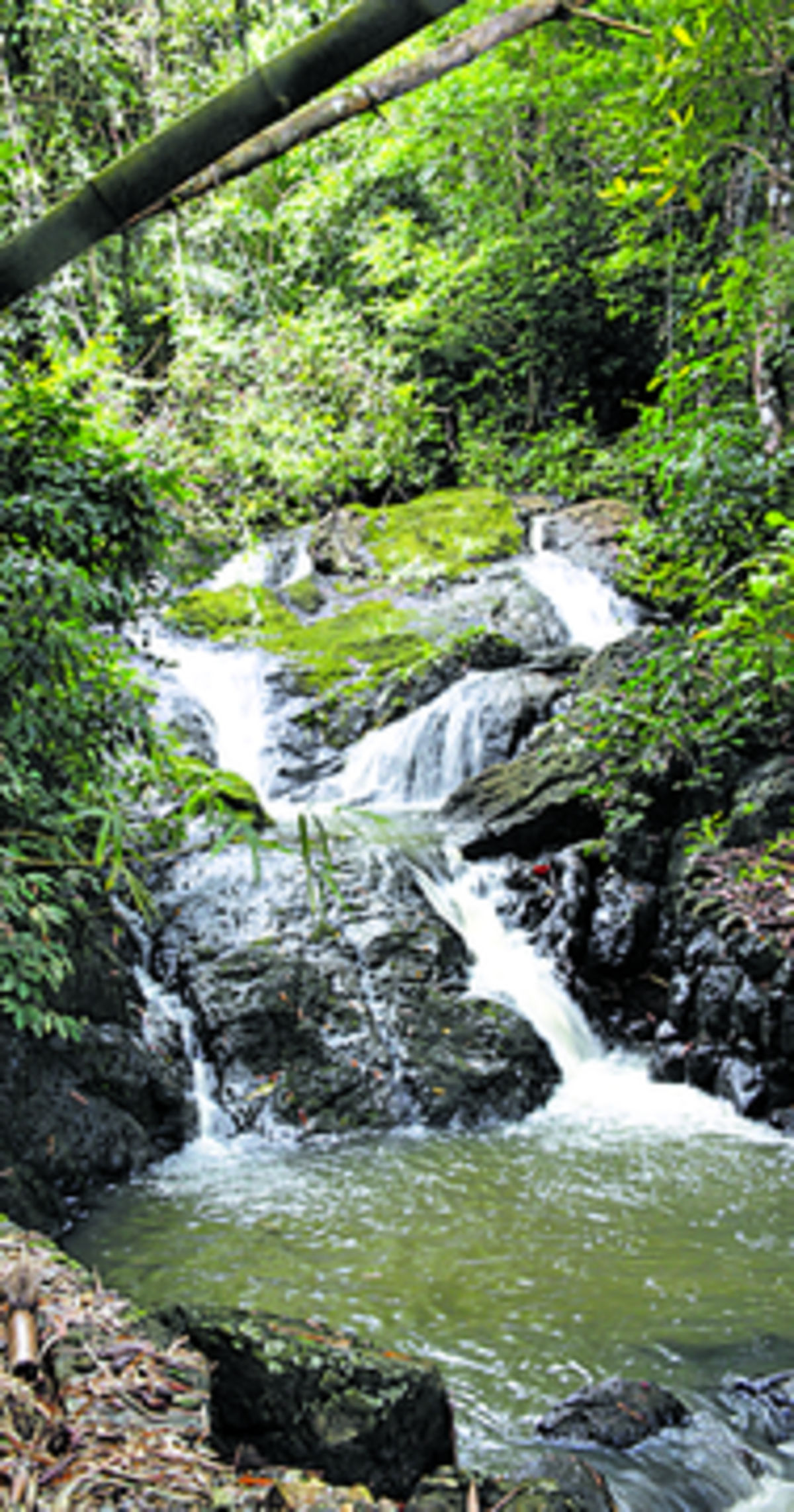 Hermosas cascadas escondidas entre la naturaleza.(Alcides Rodríguez)