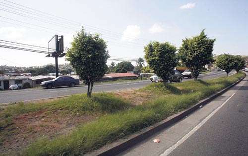 <p>Isletas. El mantenimiento será en todo el distrito capital.</p>