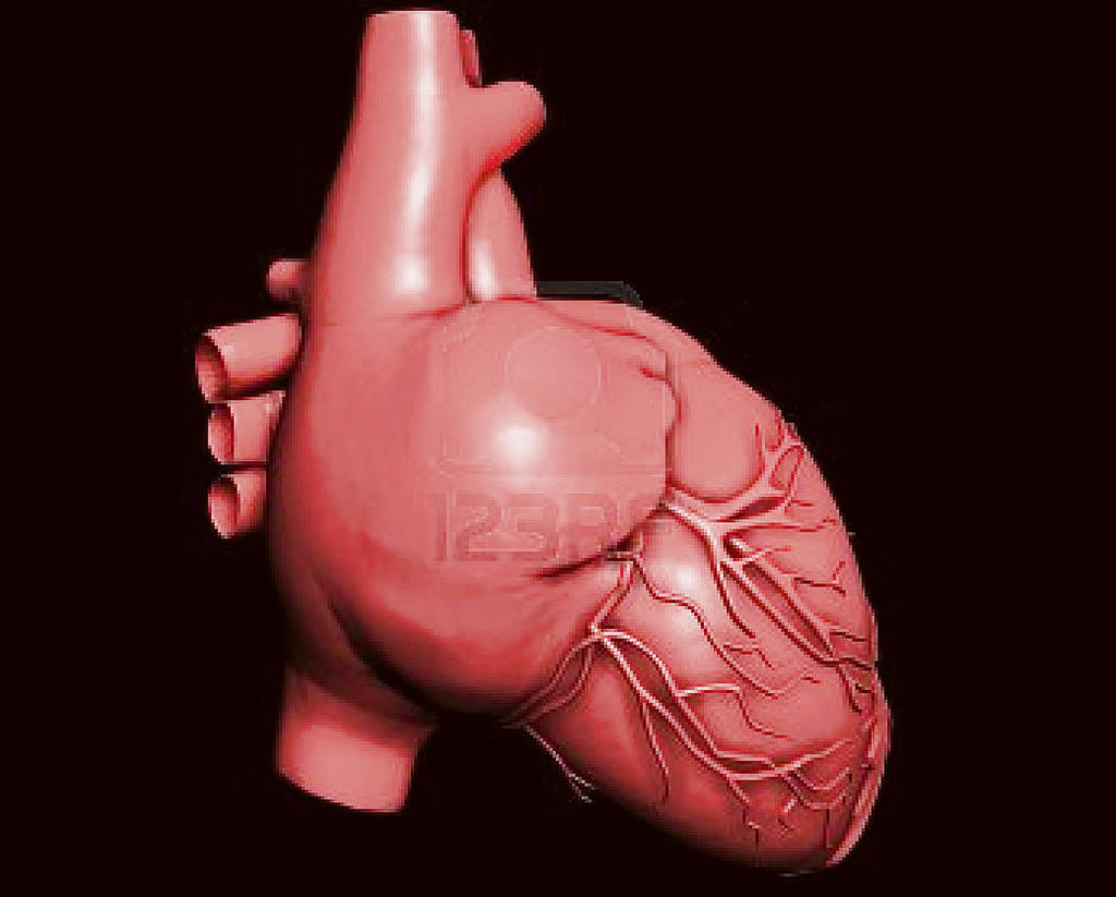 Cuidados. Fuerte y a la vez frágil. Así es el corazón.(Google.)