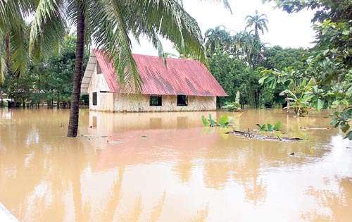 <p>Riesgos Las familias tuvieron que abandonar sus casas.</p>