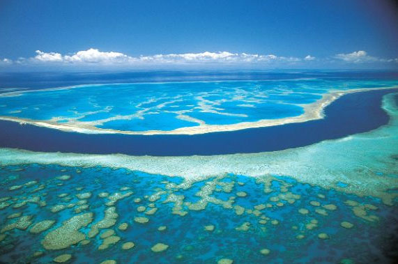 Australia 21 de diciembre 2012. Foto: captura de pantalla de internet.<br>