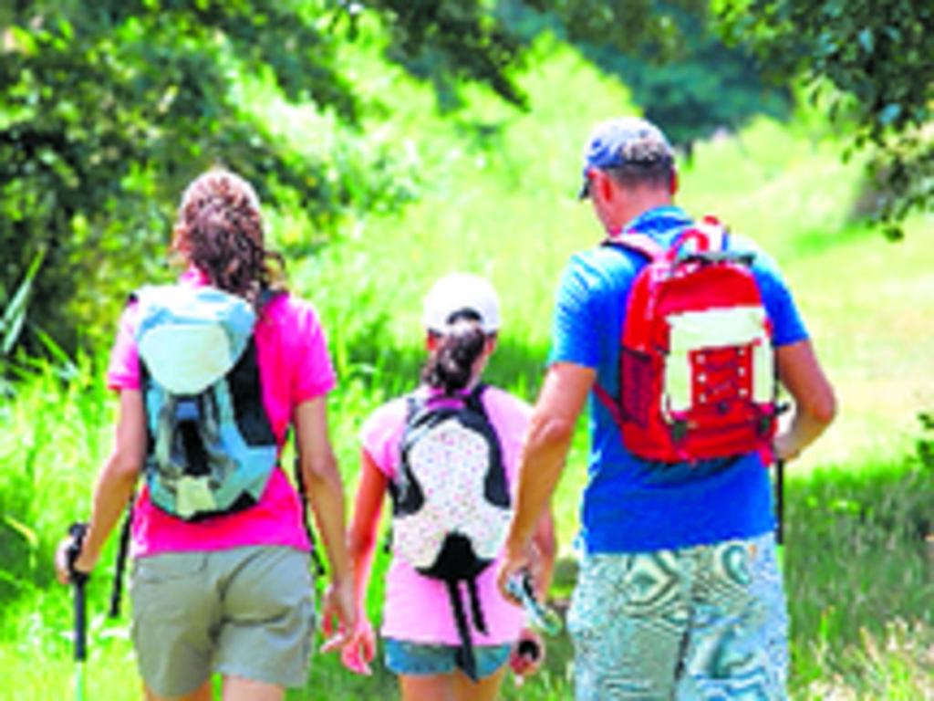 Luego de unas horas de caminata por sus senderos al llegar a la cima del Cerro Gaital, en El Valle de Antón, se puede contemplar la bella vegetación de la zona y los mares que rodean.