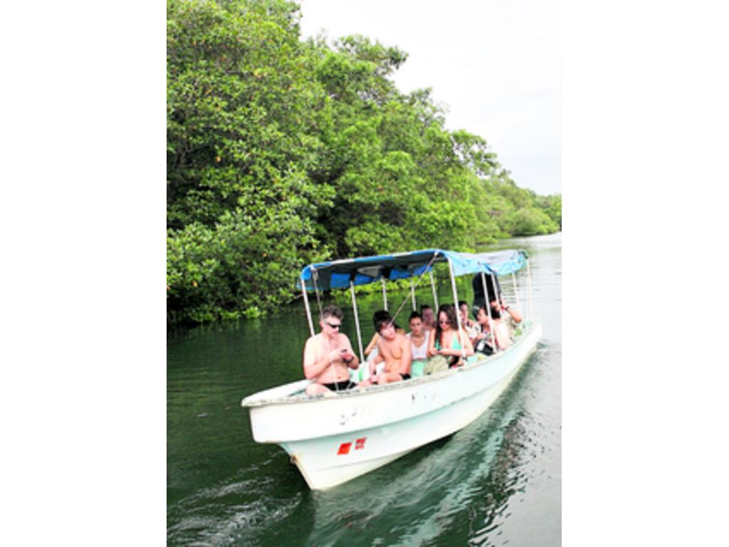 El bote te traslada de isla Colón al pueblo de Bastimentos o al sendero que atraviesa la isla.(Andres Villa)