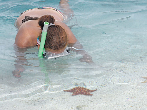 <p>Sus aguas son ideales para practicar snorkel.</p>