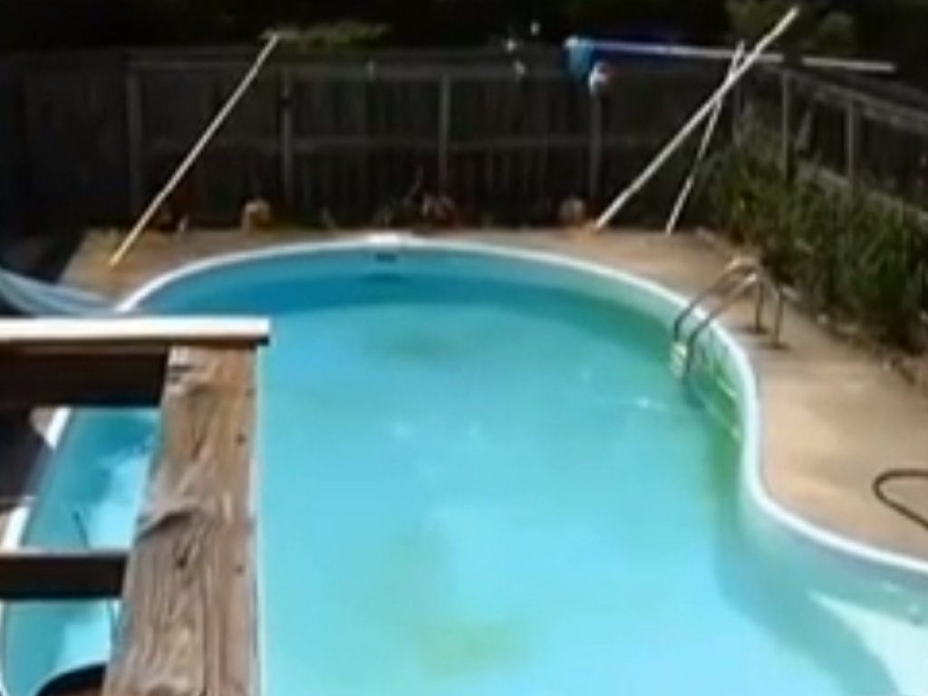Esta es la piscina de Stephen Amaral, donde su vecina se desnudo para robarle.<br>