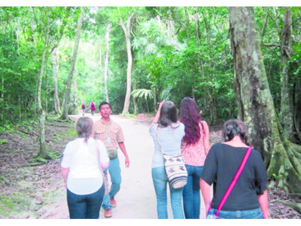 El Parque Nacional Tikal tiene una extensión de 576 kilómetros, en los que se puede observar fauna y flora.