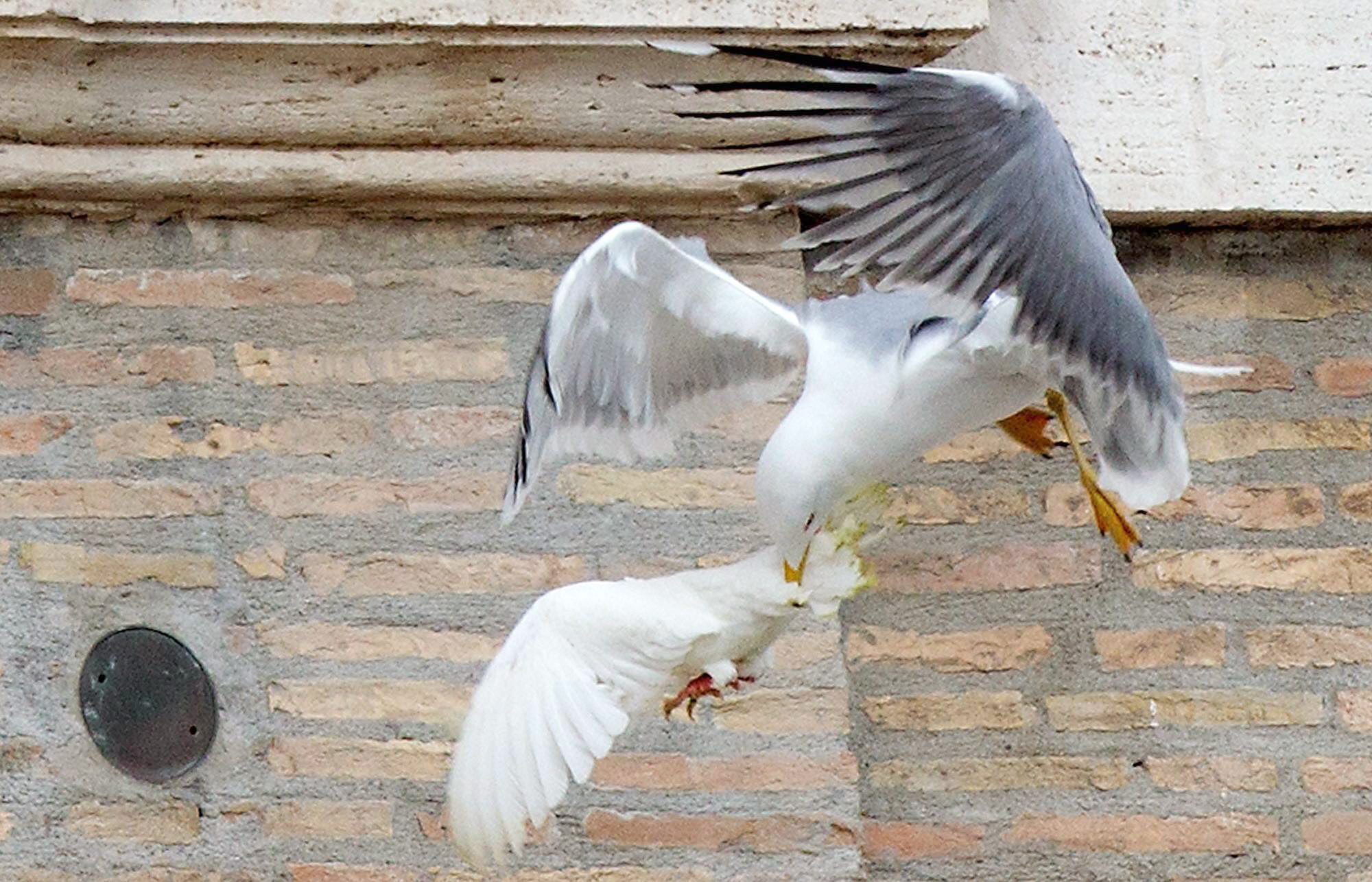 Foto/AP<br>
