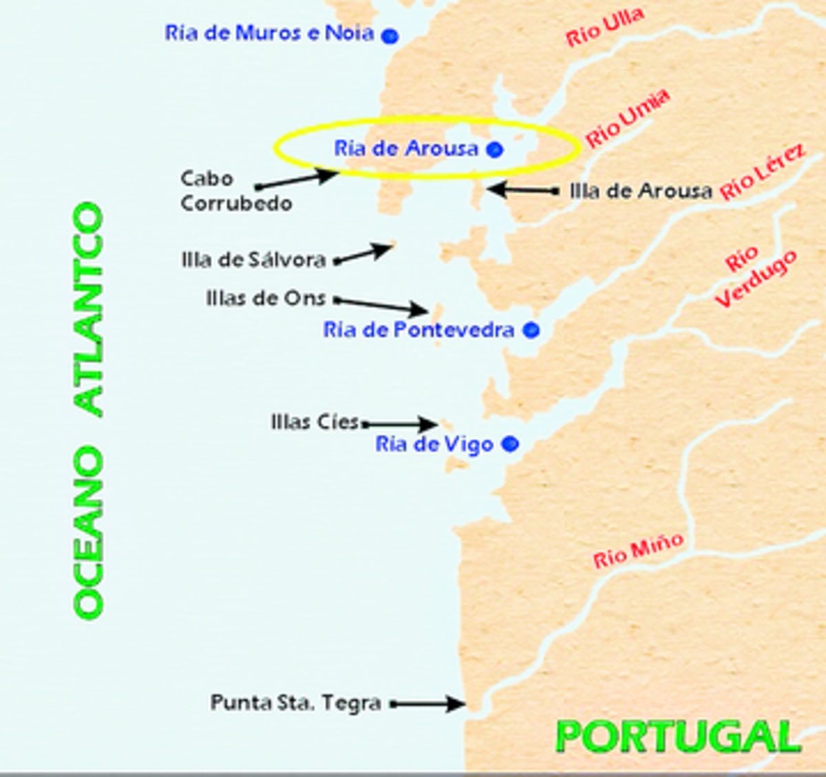 En Galicia, las vides se podan en parra y los racimos cuelgan de lo alto protegidas del sol por las hojas.