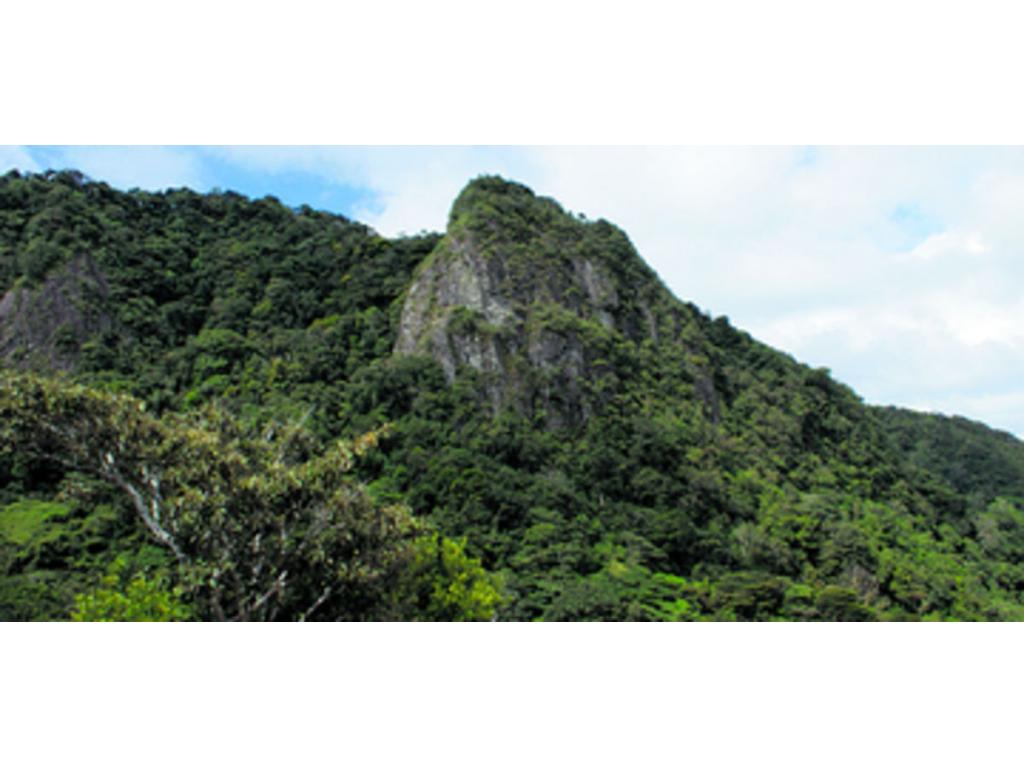 El tan famoso cerro La Cruz, el cual se puede subir mediante un sendero que te lleva a la cima o hacer rapel.(Alcides Rodríguez)