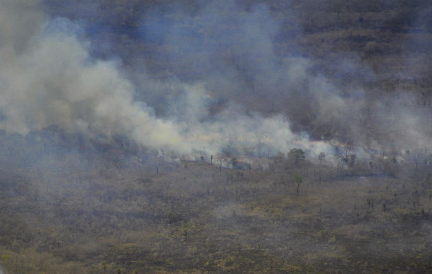 Senado paraguayo decreta emergencia por fuegos en zona compartida con Brasil Incendio en la zona del Pantanal en Paraguay. Foto: EFE.
