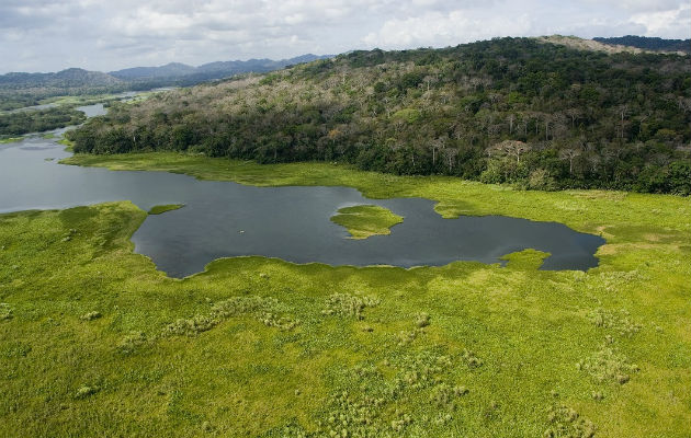Cuenca del Río Chagres, principal afluente del Canal de Panamá. Crédito: Archivos Smithsonian Cuenca del Río Chagres, principal afluente del Canal de Panamá. Crédito: Archivos Smithsonian
