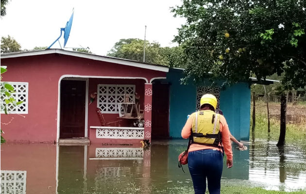 Siete casas afectadas por lluvias en Chiriquí, Sinaproc mantiene alerta Las fuertes lluvias que se registraron causaron la inundación. Foto: José Vásquez.
