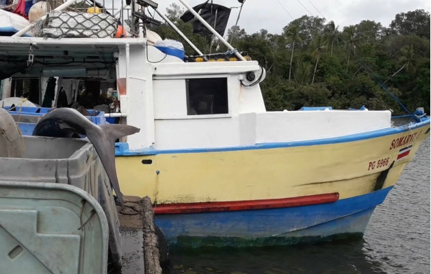 A órdenes de Migración, ticos retenidos con pesca ilegal en Chiriquí Embarcación costarricense retenida en aguas chiricanas. Foto: Mayra Madrid.