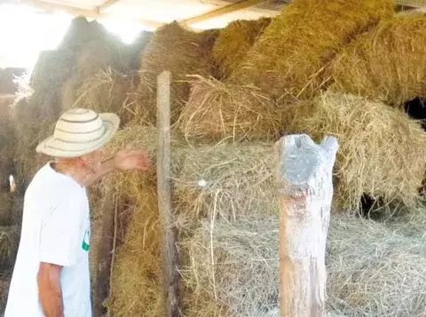 Temporada seca empieza a afectar a los productores