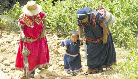 Redes criminales compran bebés en zonas indígenas