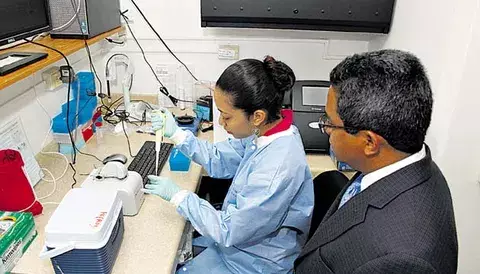 Investigaciones sobre el Hantavirus avanzan 
