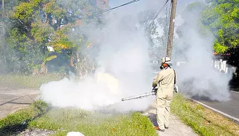 Nuevo caso de Hantavirus en el distrito de Soná 