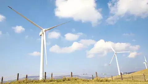 Sequía agota energía eléctrica y parques eólicos siguen ociosos 