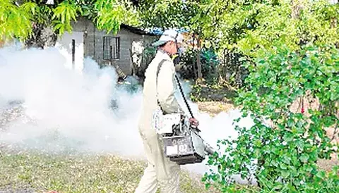 Asustados por dengue