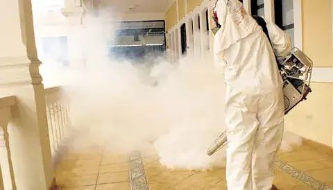 Contratan empresas para eliminar criaderos de Aedes 