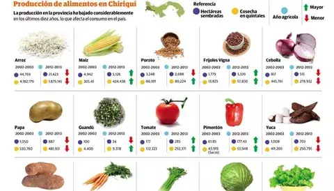 Producción de comida baja en la mayoría de los rubros 