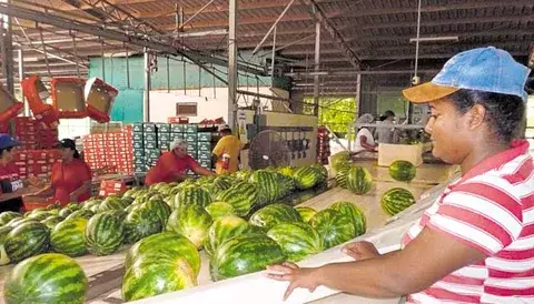 Los Santos y Herrera, con alzas y caídas en varios productos  