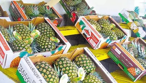 Otorgan certificación para realizar análisis a las frutas y vegetales 