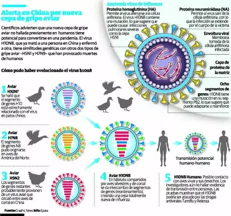 Confirman la presencia de la gripe aviar H7N9 en más regiones chinas 