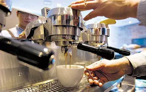  Retoman concurso para seleccionar el mejor café 