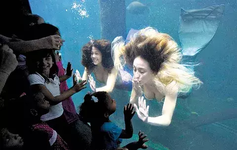 Acuario divertido para aprender ecología 