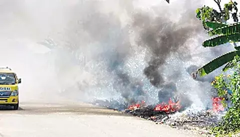 Incendian herbazal  