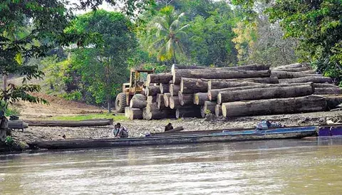 Chimán al borde de conflicto por tierras y tala de árboles 