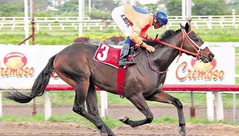 Hoy regresa Tomás Gabriel 