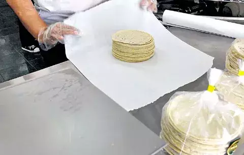 Tortillería Maya cambia el sabor de las quesadillas 