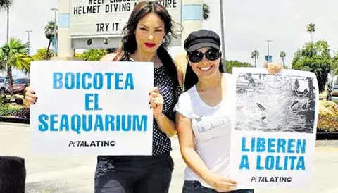 Patricia De León protesta para salvar a orca  