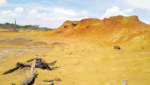  La recuperación de un área devastada que se logró con esfuerzo  