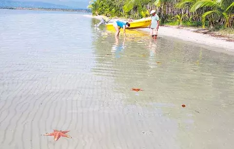 Isla Colón, santuario de pájaros y estrellas 