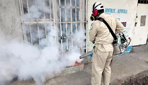 El dengue y Hantavirus no dieron tregua durante las fiestas del Carnaval 