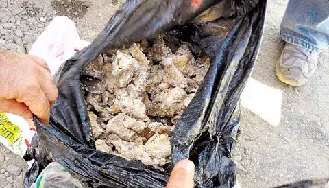 Querían vender comida dañada 