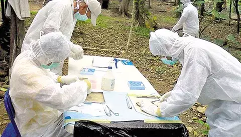 En estado crítico está paciente de Los Santos enferma de Hantavirus 