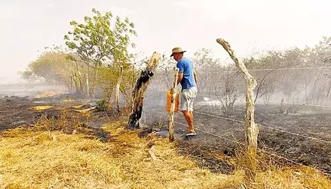 Incendio forestal afecta a santeños 