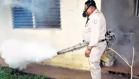  Muere menor de once años presumiblemente por dengue en Arraiján 