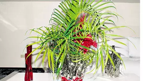 Ikebana, cantos y más en festival Shimpu-Sai 2014  