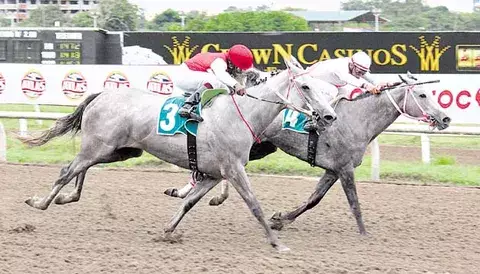 'Ladies night' en el hipódromo 