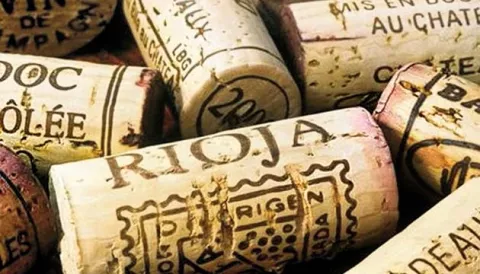 La Rioja, decana del vino español